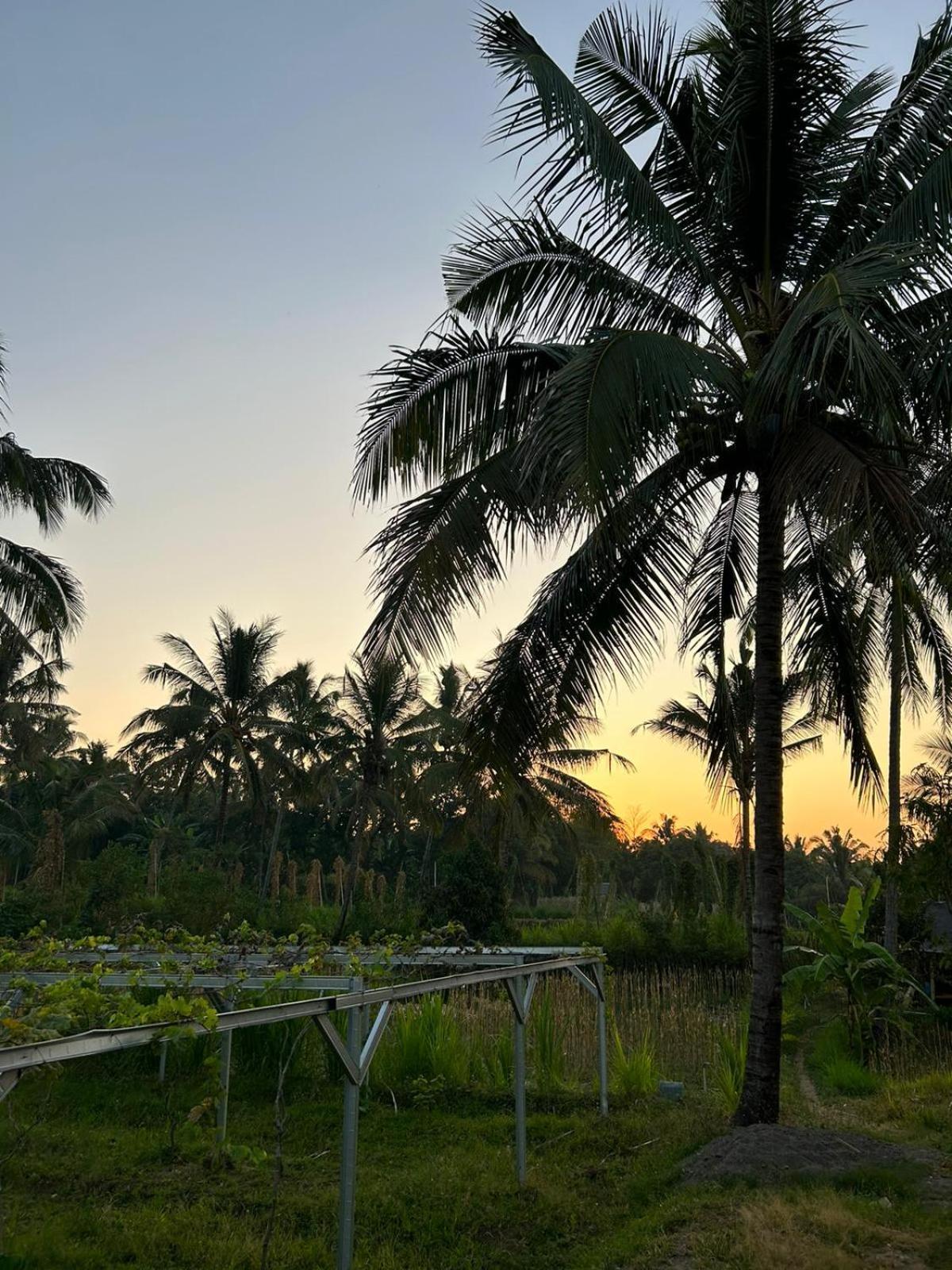 Rinjani Eco Villa Senaru Байан Экстерьер фото